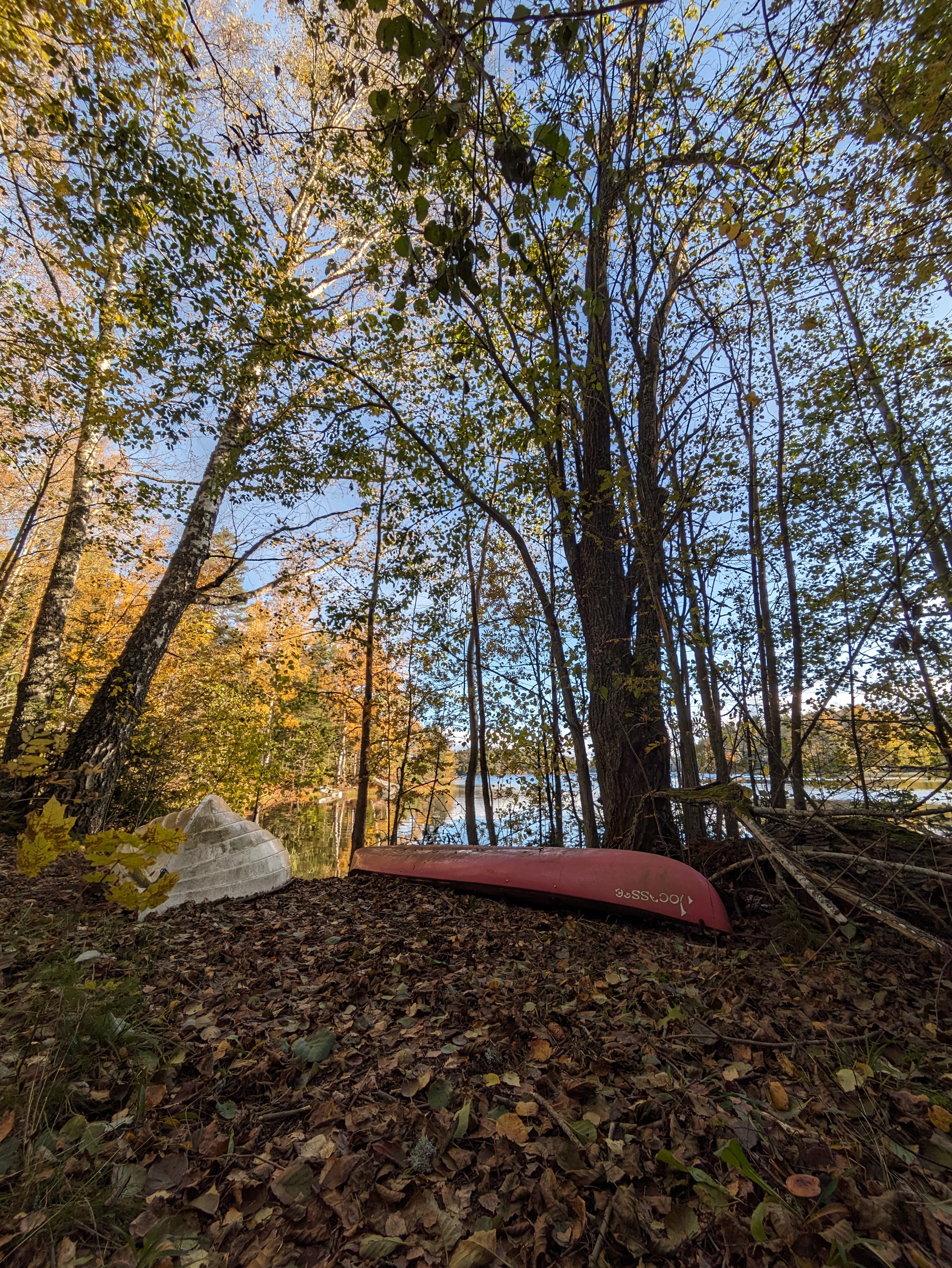 canoe by the lake